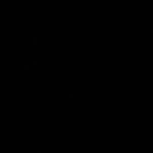 Meet your Posher, Kaseem